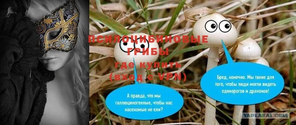 ешки Иннополис