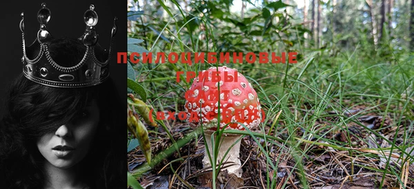 эйфоретик Зерноград