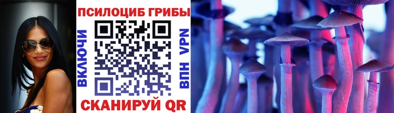Купить где  Каменногорск  Галлюциногенные грибы GOLDEN TEACHER 