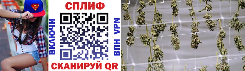 Канабис LSD WEED Купить закладки Каменногорск